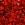 Strawberry0913