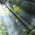 Avatar des Benutzers herbstmorgen